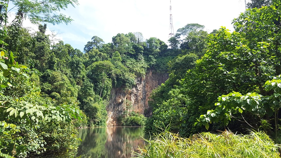 bukit batok nature park